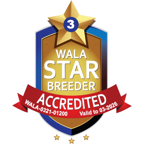 WALA geaccrediteerde ster fokker badge 2026